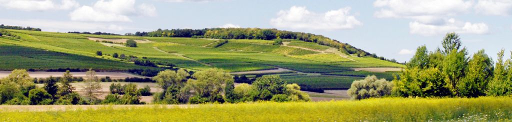 Notes/Domino Support für DLR Rheinhessen-Nahe-Hunsrück